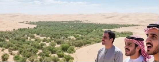 沙特王室对中国治沙技术是真“上头”，组团来“取经”的架势相当实在，毕竟自家86万