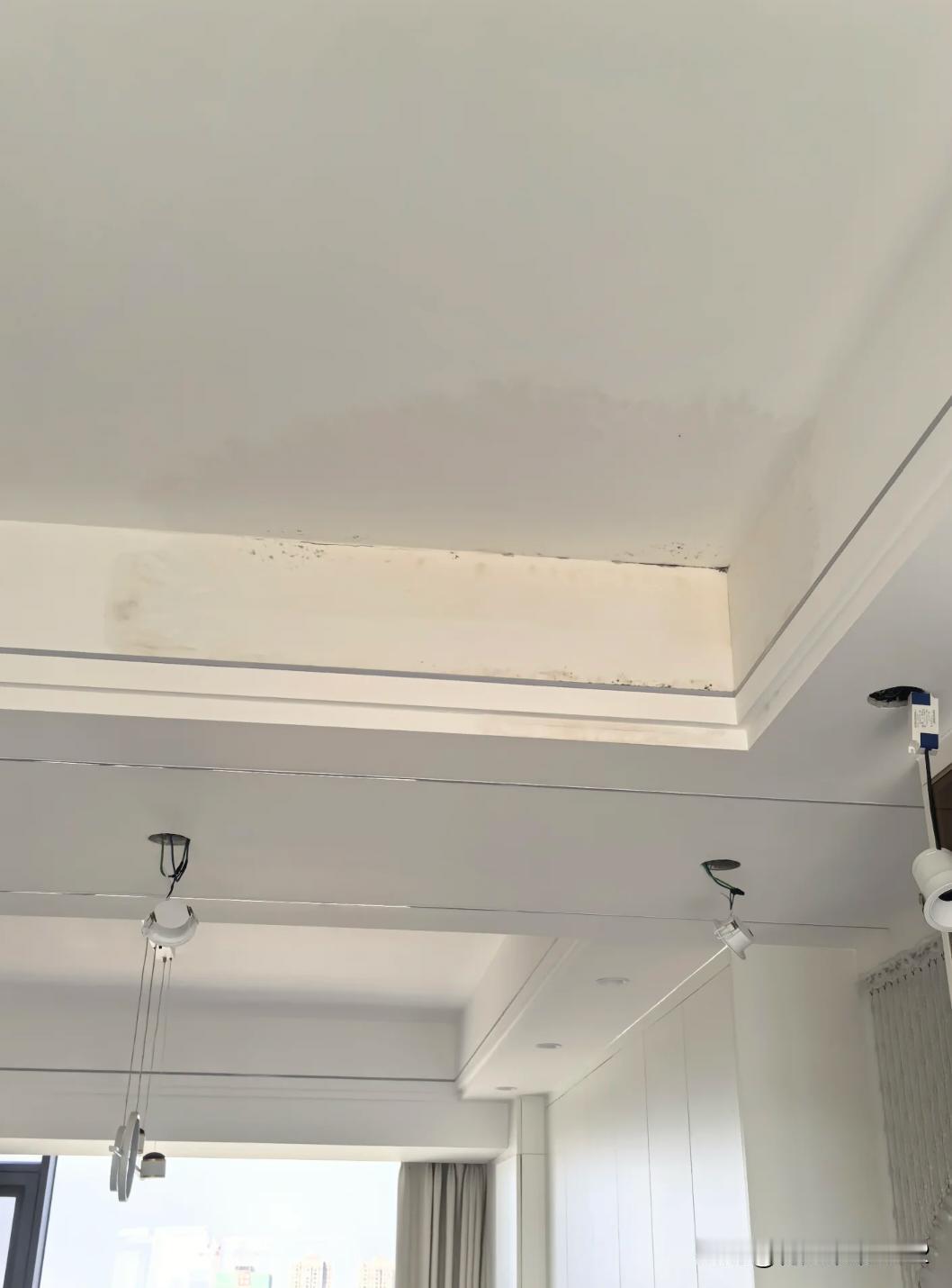 顶楼复式视野真好，但要避雷了。入住一年漏水了。2023年买的，24年八月装修好