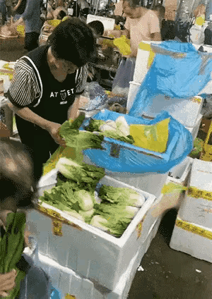 仿佛剥掉几片菜叶，就能凭空发财一般，这种人真是越活越招人厌烦。不得不说：大妈！