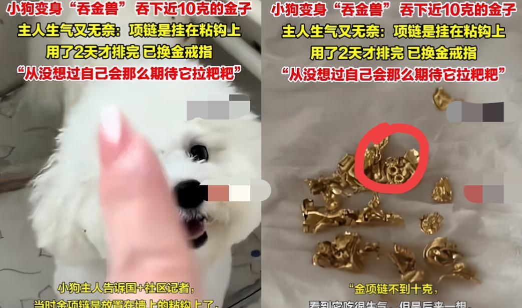 “笑不活了！”山东临沂，一女子睡前将10克黄金项链挂墙上挂钩，次日竟不翼而飞，一