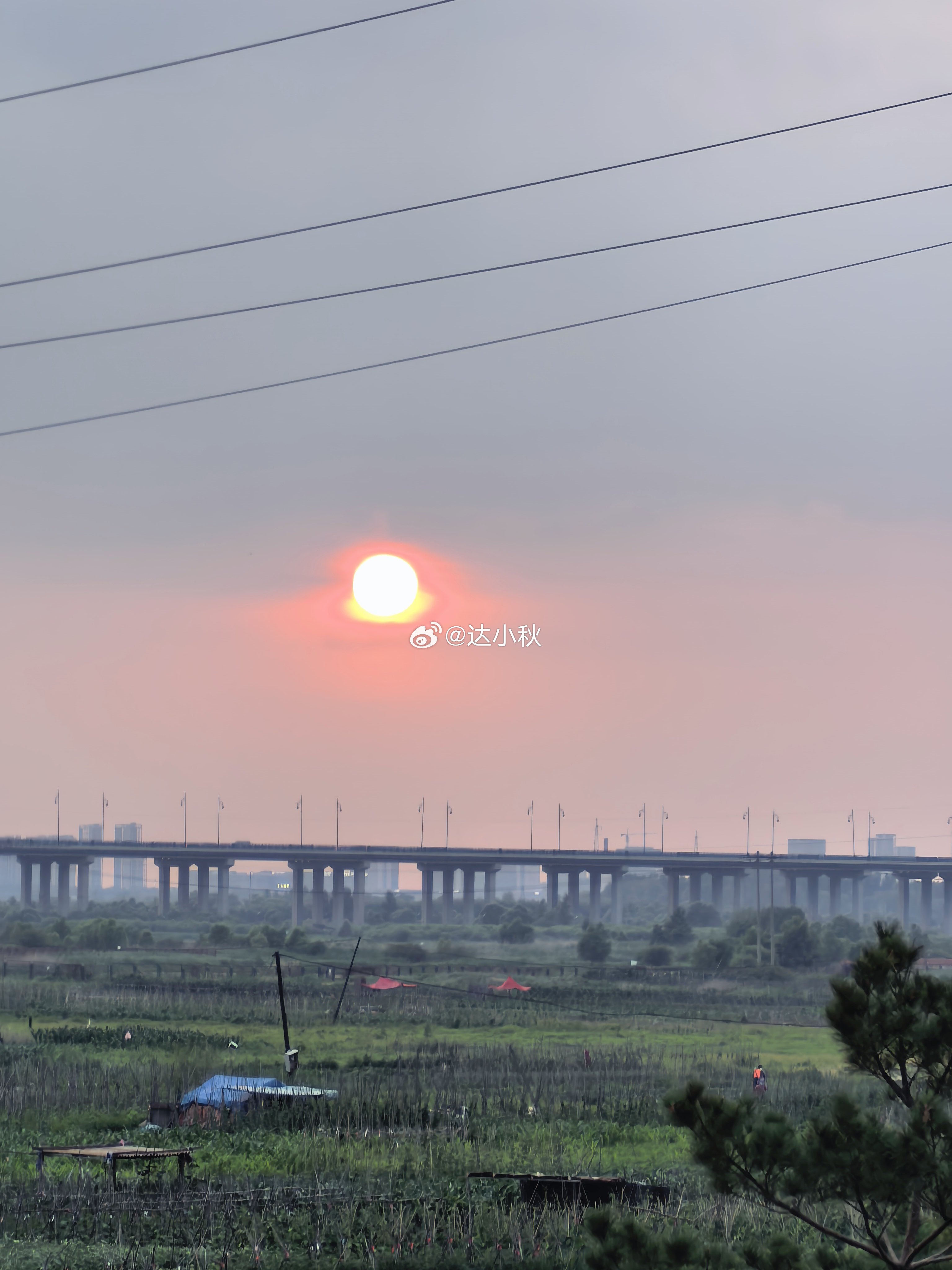 2026年已过半跑步四个月，配速较去年还差30秒最大摄氧量较去年还低估计这也是跑