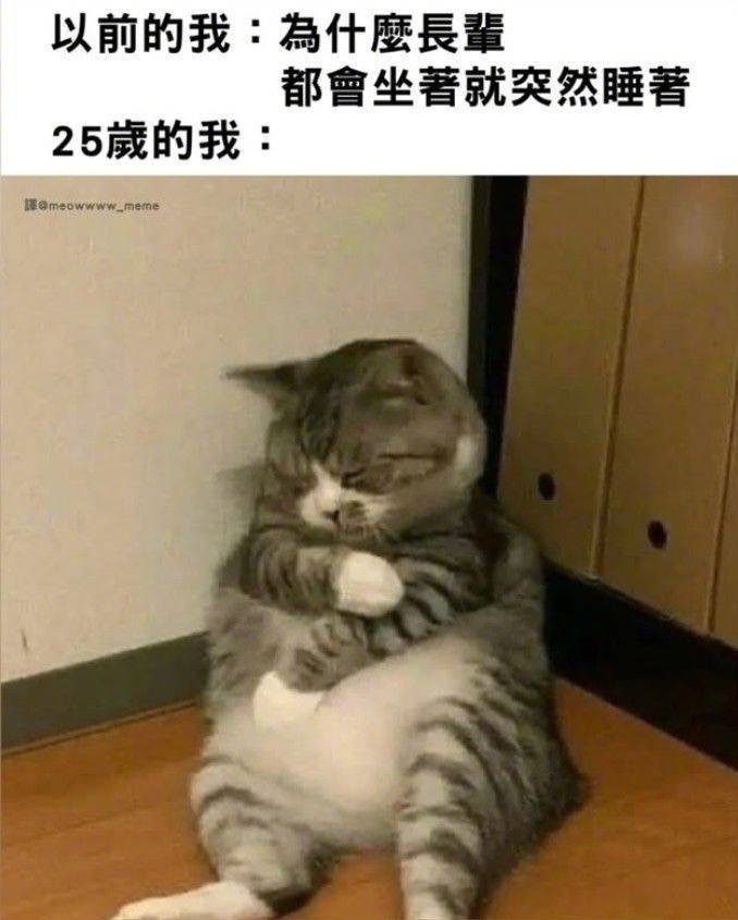 你别说，你还真别说​​​