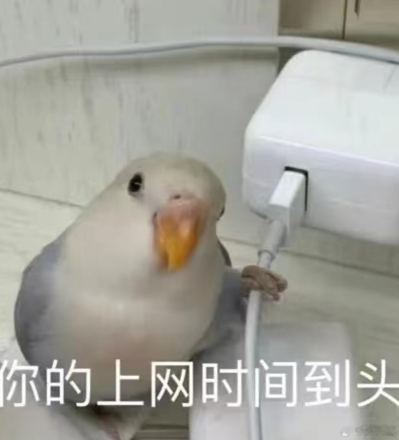 很多品牌做得很差的一点，就是没产出足够多的素材图，来方便媒体自发的做图文传播。[
