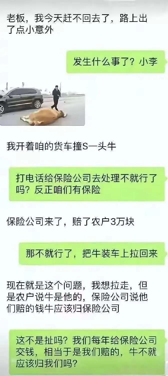 “撞死一头牛，赔了钱，牛归谁？”这事在网上吵翻了。事情就发生在跑货运的小李身