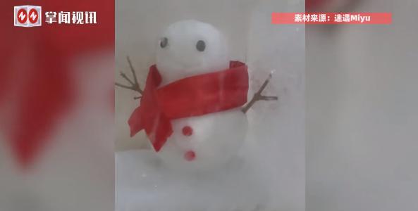 “人怎么能这么聪明！”近日，辽宁沈阳，一男子为了保存住冬天堆得雪人，突发奇想把它