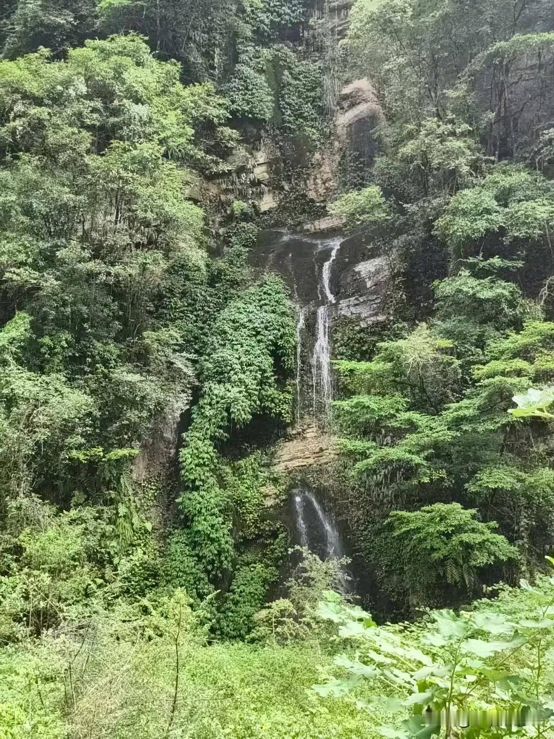现在的小学老师编制，究竟是什么样考核标准才能进去？小侄女今年三年级，班主任是