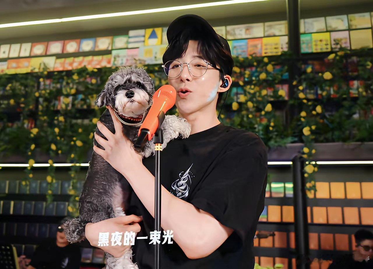 刘宇宁特地在七夕这天举办“超级康乃馨7.0”音乐节，和粉丝一起庆祝817粉丝节。