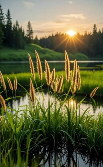 醍醐灌顶的一段话：“很多人可能不知道，每天有人听你讲废话、睡前有人跟你道