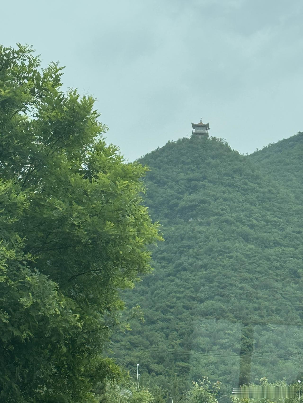 前段时间买的鸡蛋是6.9元一斤。看着鸡蛋快吃完了，就去买鸡蛋，不能因为鸡蛋贵就