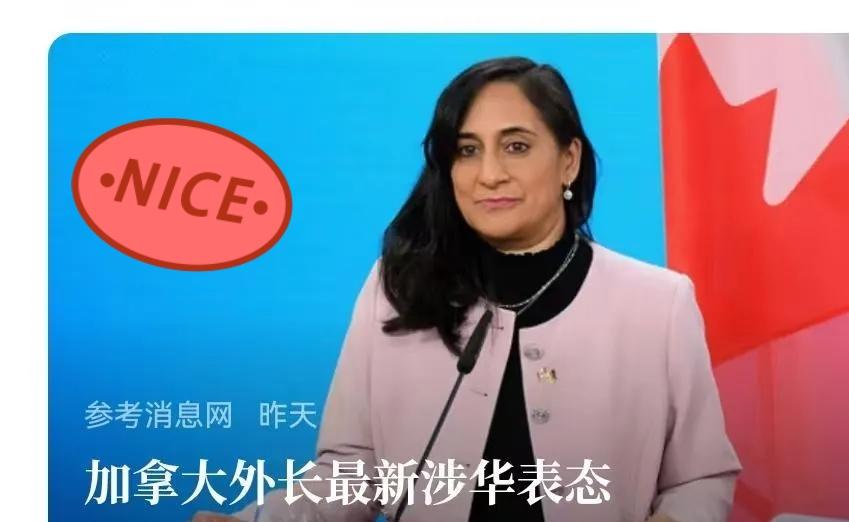 快报！就在刚刚！加拿大方面突然宣布了涉华表态！2025年11月14日