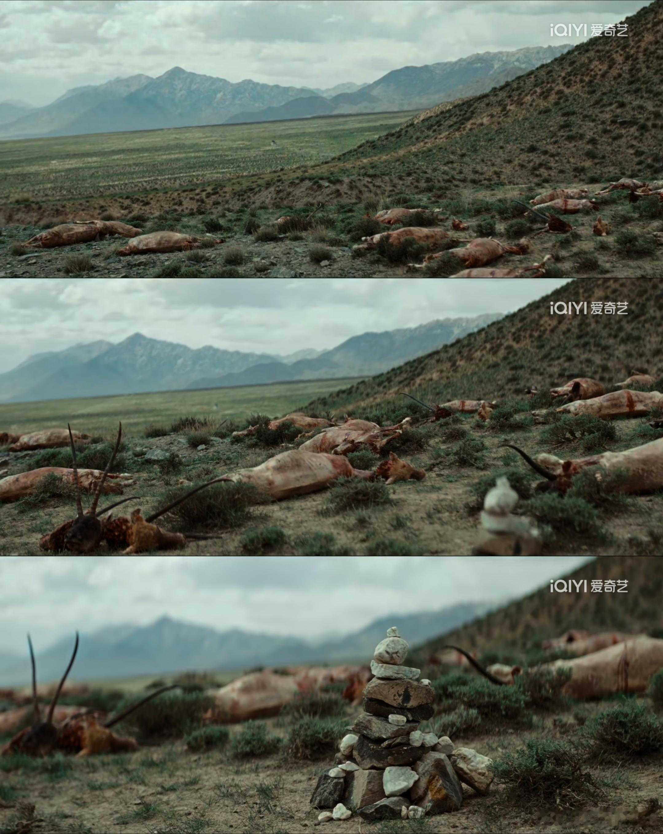 《生命树》开虐了，但我们在虐之外还能看见巡山队的震撼力、感染力、穿透力，这种力量