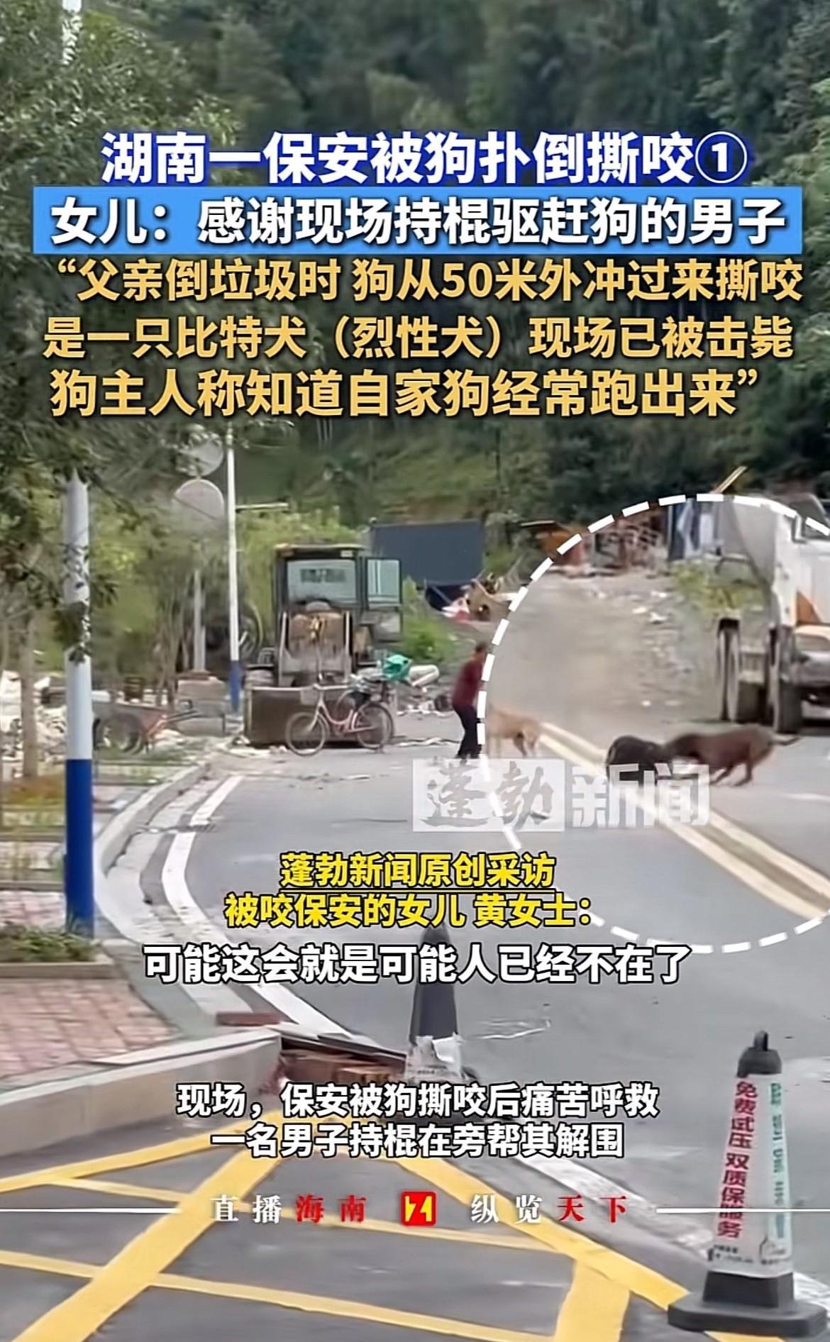 禁狗刻不容缓！！人口密度高的地方必须禁止养狗！超50w人口就得禁。养狗必须办