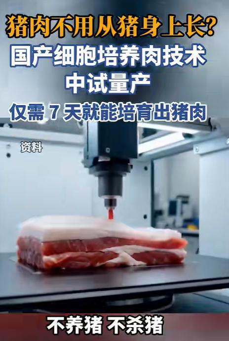 “逆天操作！”5月11日报道，南京一家科技公司竟用干细胞‘种’出了猪肉。只需几天