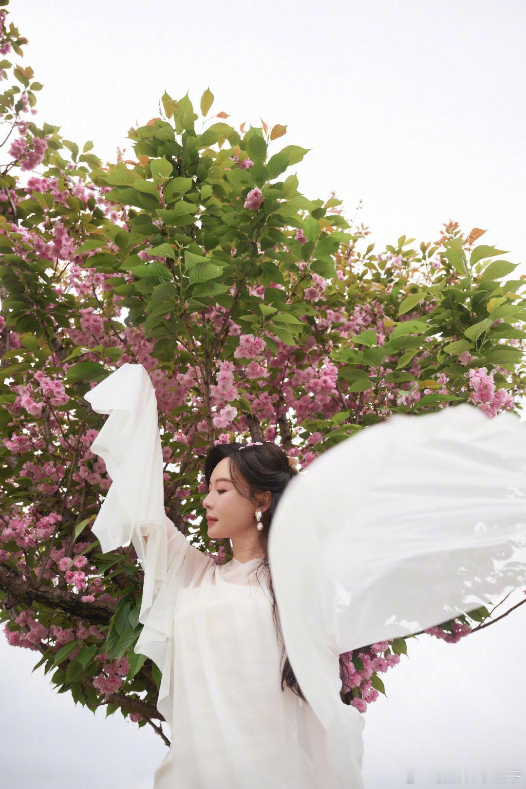 不赶时间，只赶一场花雨。你好春天（