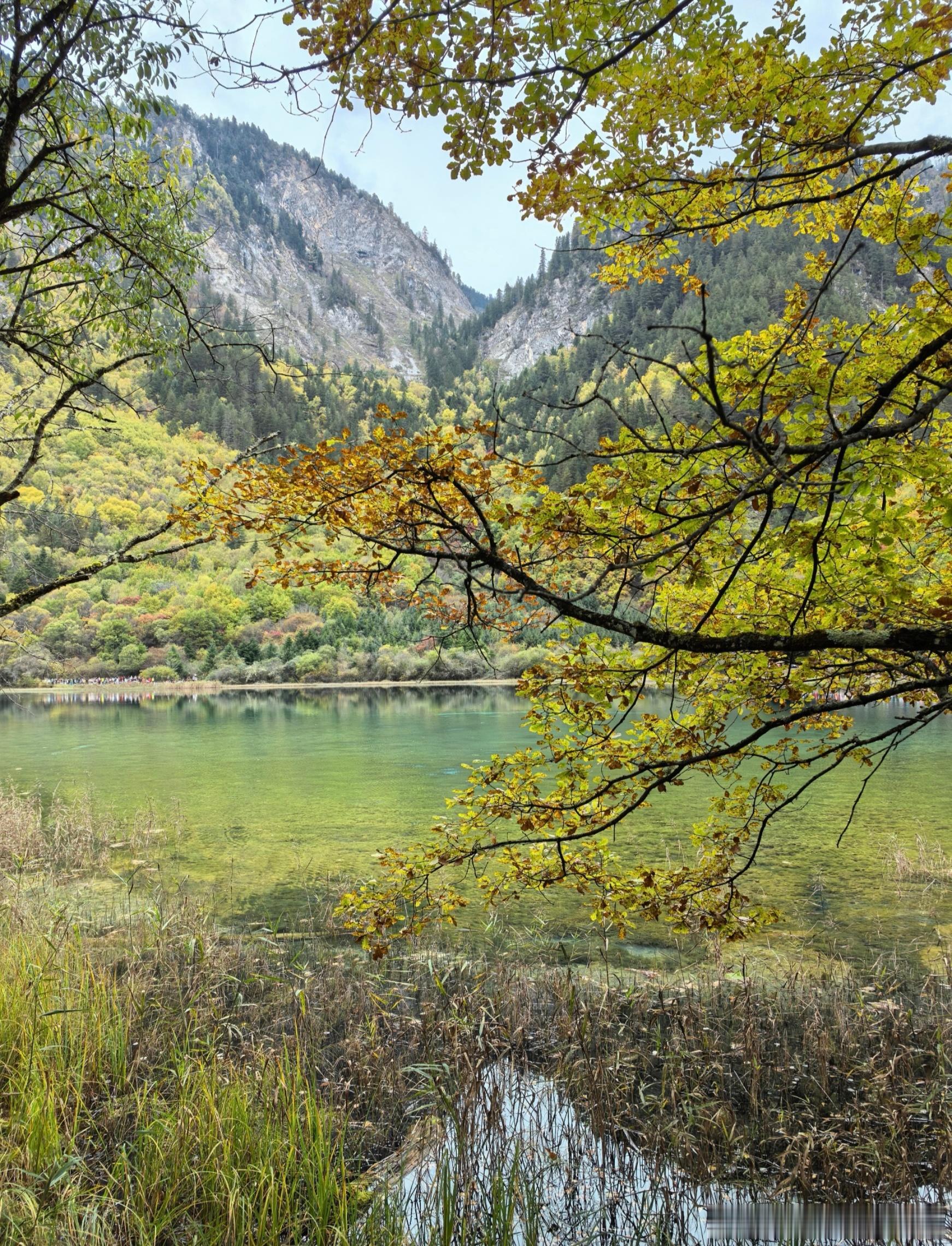 九寨沟封神攻略✨雪山海子CP锁死！九寨沟的灵魂藏在雪峰与海子的相拥里❄️这份