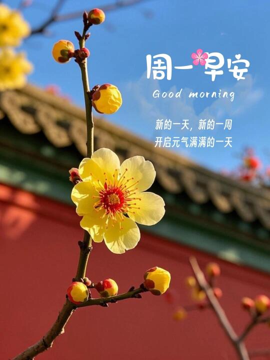 早安文案｜早安语录｜早安日签｜早安心语