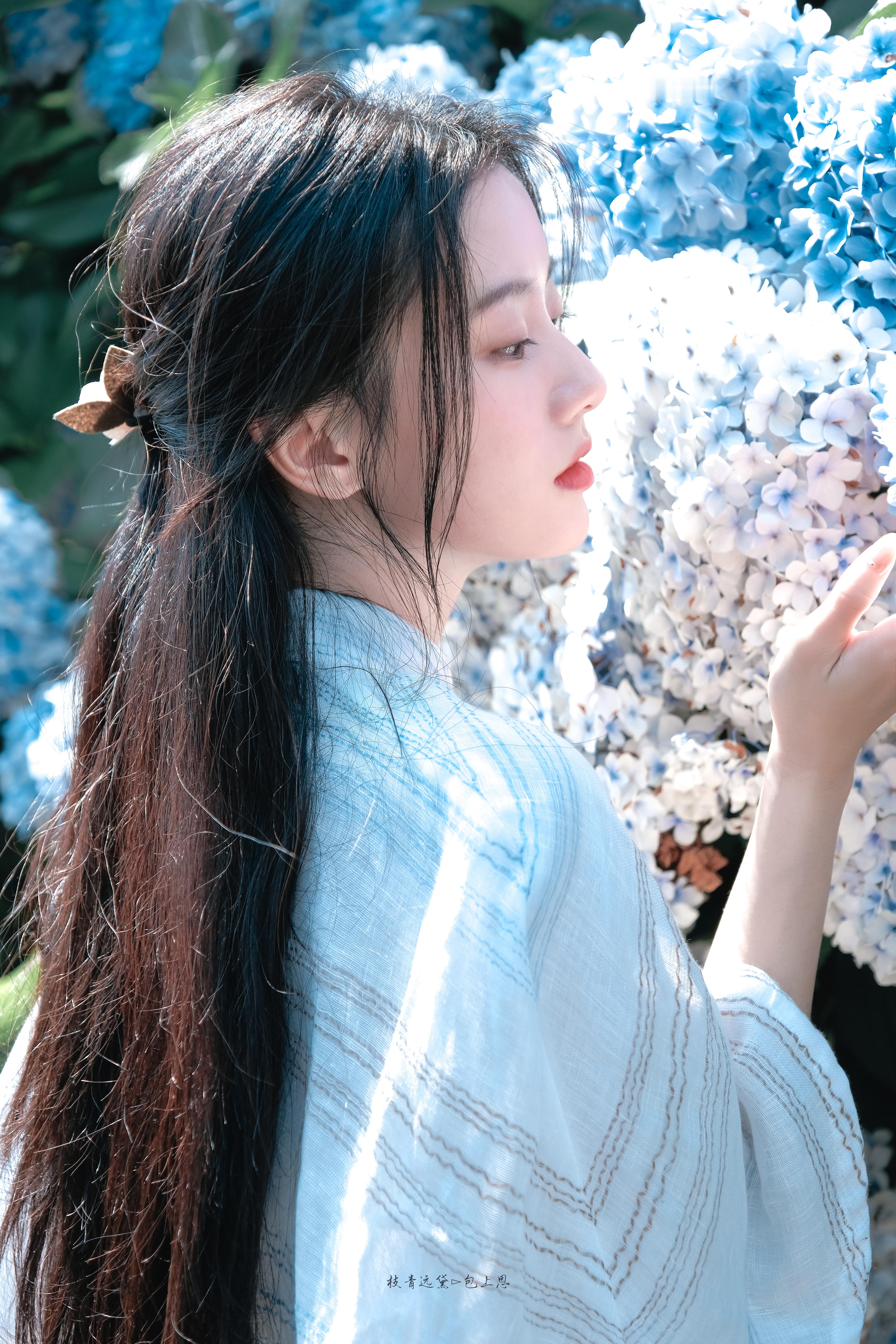 包上恩/绣球花海🦋🧊包上恩绣球花少女好清纯​​​