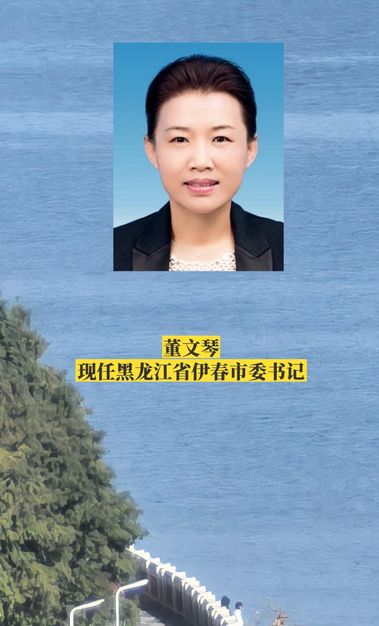 黑龙江伊春市委领导。