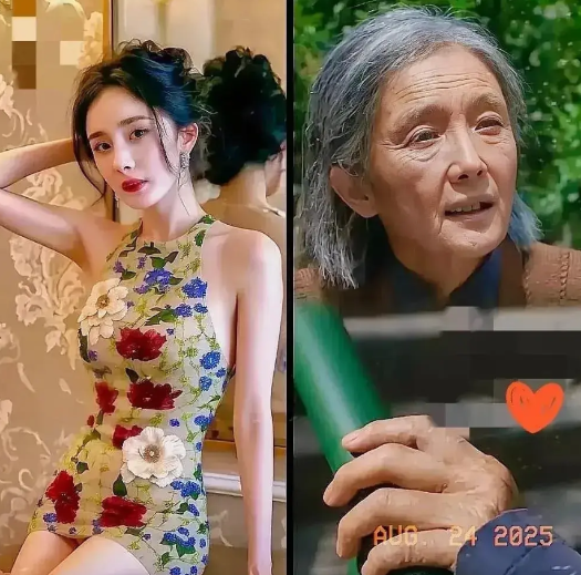 杨幂大概率不会再拍电视剧了，不是她不想拍，而是电视剧再也请不起她了。