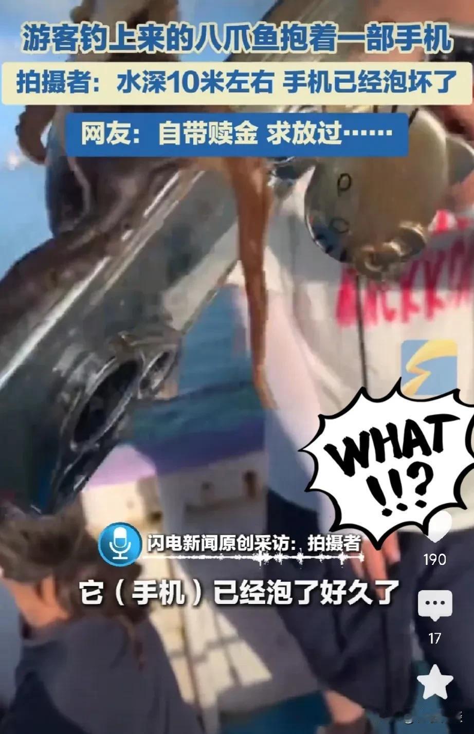 八爪鱼：这赎金能保我一命吗？福州一游客海钓时，竟钓上一只八爪鱼紧紧抱着一部华为