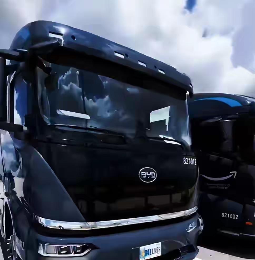 鹰酱：阿欧，我警告你，绝对不许进龙哥家的电动车！阿欧：咋了啊？他家车皮实耐用还