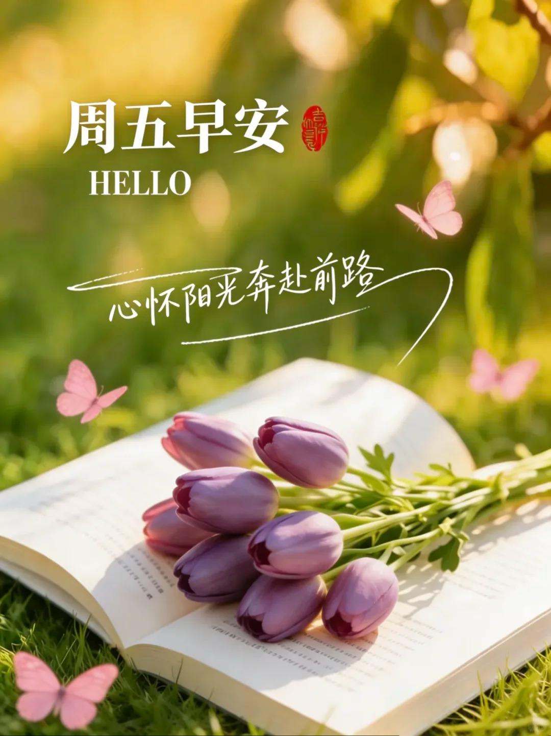 ²⁰²⁶/₀₄.₁₇周五｜一键复制，让春风送暖，晨光正好，人人都爱看🍒✨①