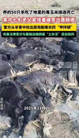 “这口锅该谁背？”山西五台县，一7旬老人放羊被“毒地”坑惨，50只羊惨死，警方介