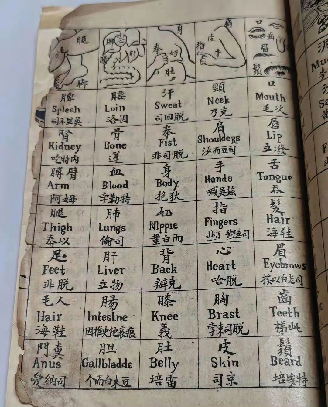 原来当时都是这么学英语的吗？