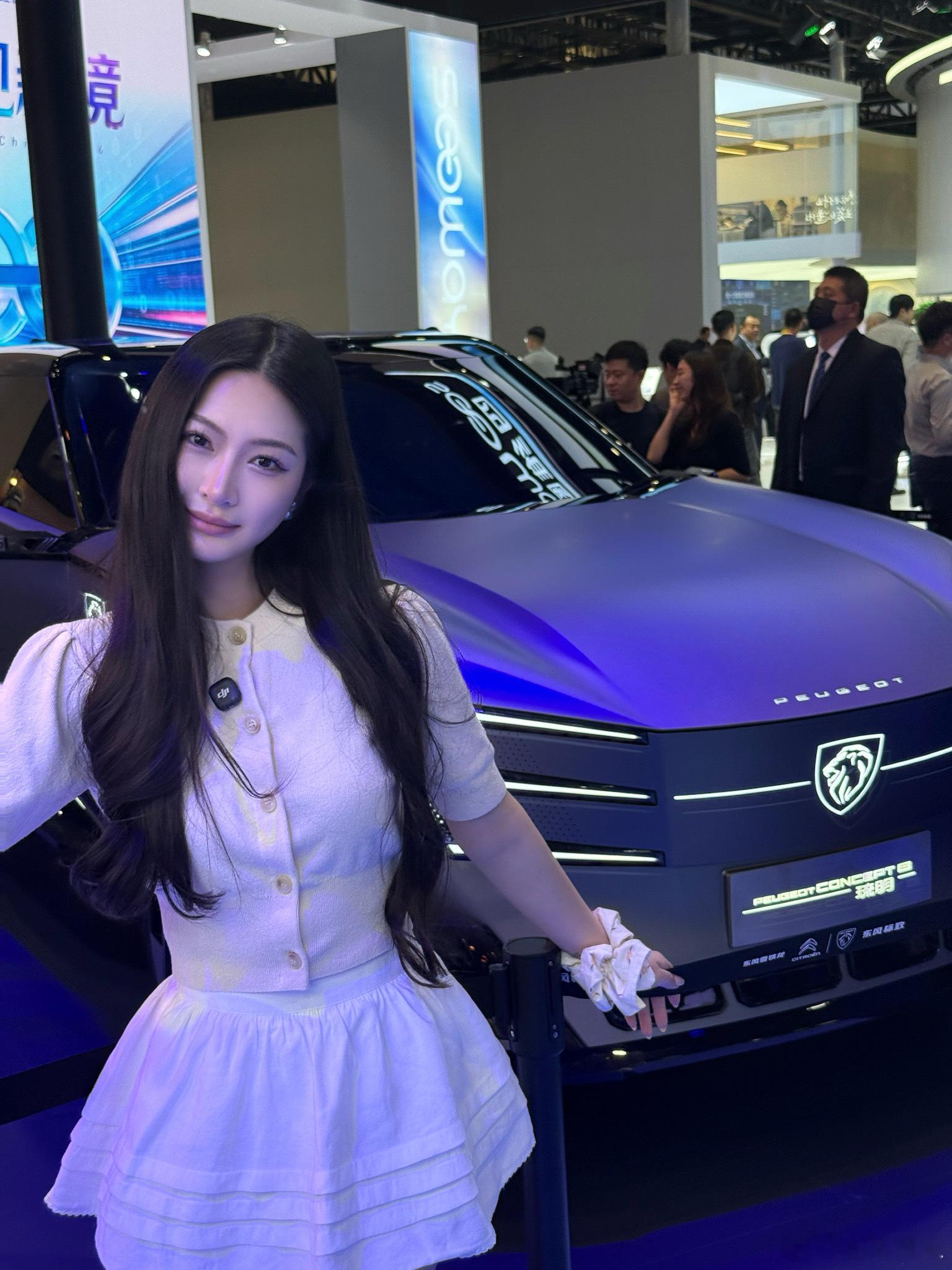 4.北京车展必逛神龙汽车展台！双品牌合而不同，东风标致科技先锋，东风雪铁龙松弛生