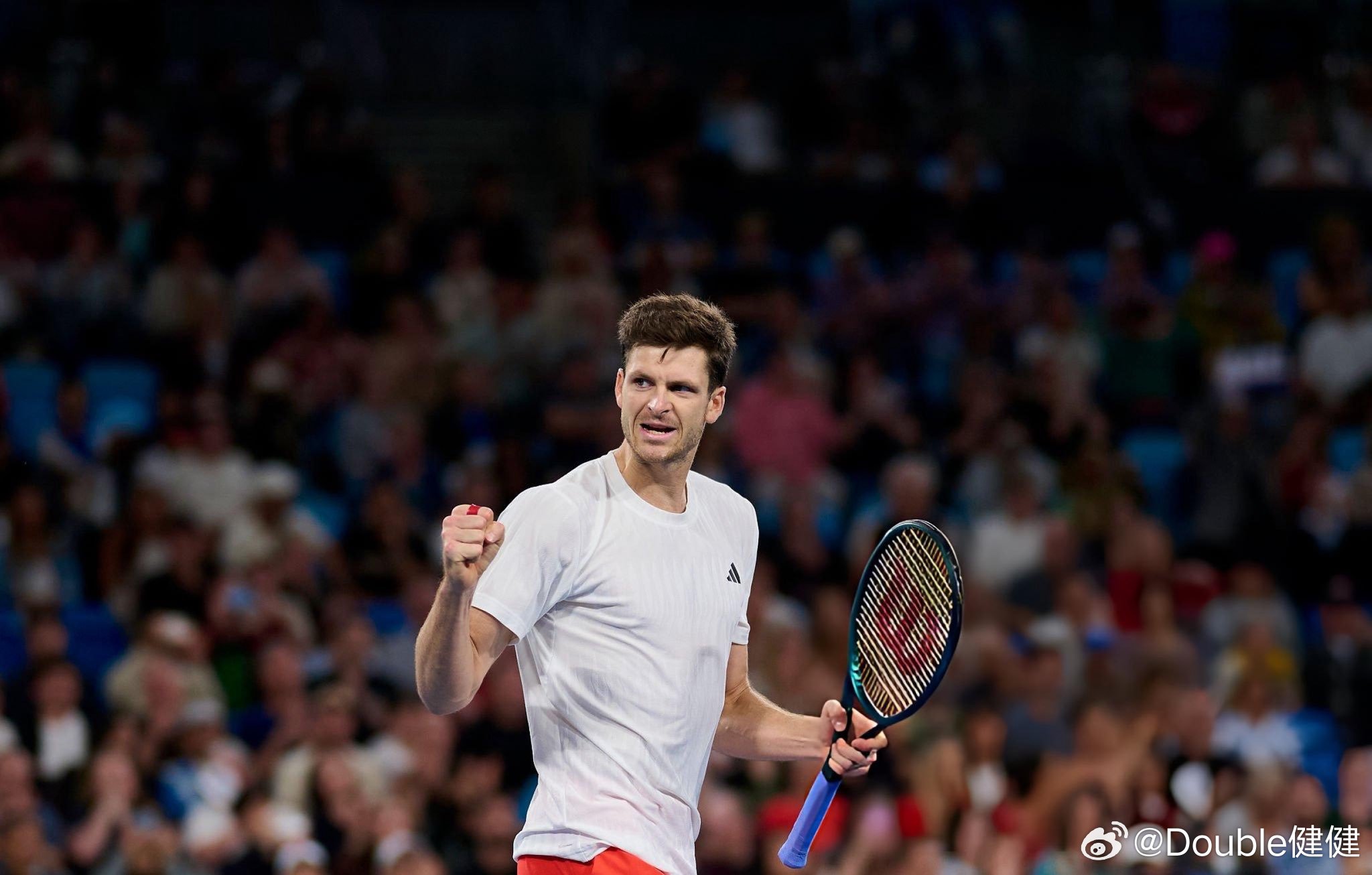 这些澳网2026非种子、谁能成为种子炸弹？🇨🇿马哈奇🇫🇷安贝尔🇧