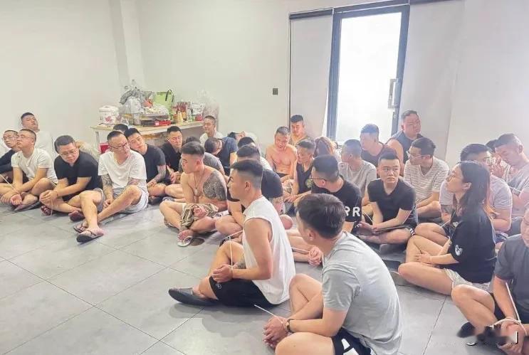 柬埔寨这次来真的了！至少710人被擒，没想到参与电诈最多的不是中国人