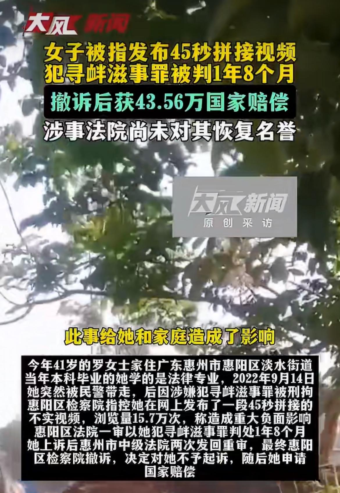 广东惠州41岁的罗女士，因为对村里收地有意见，剪了条45秒的拼接视频上网乱发，被
