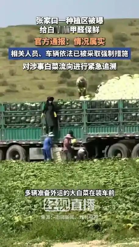 一颗老鼠屎毁了一锅汤：“甲醛白菜”风波下的反思与救赎近日，河北张家口康保县“