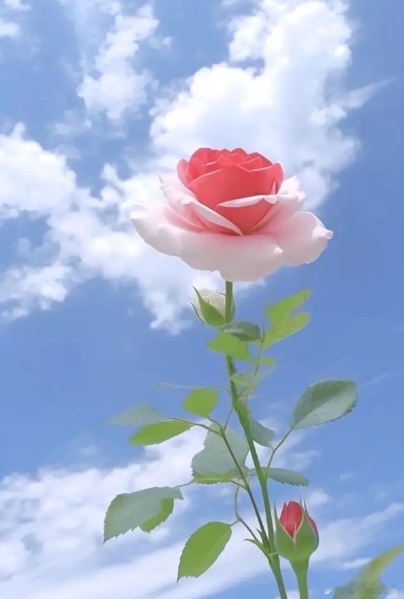 上午10:21，受外围影响，A股早盘低开震荡，接下来怎么看？现在是上午的10: