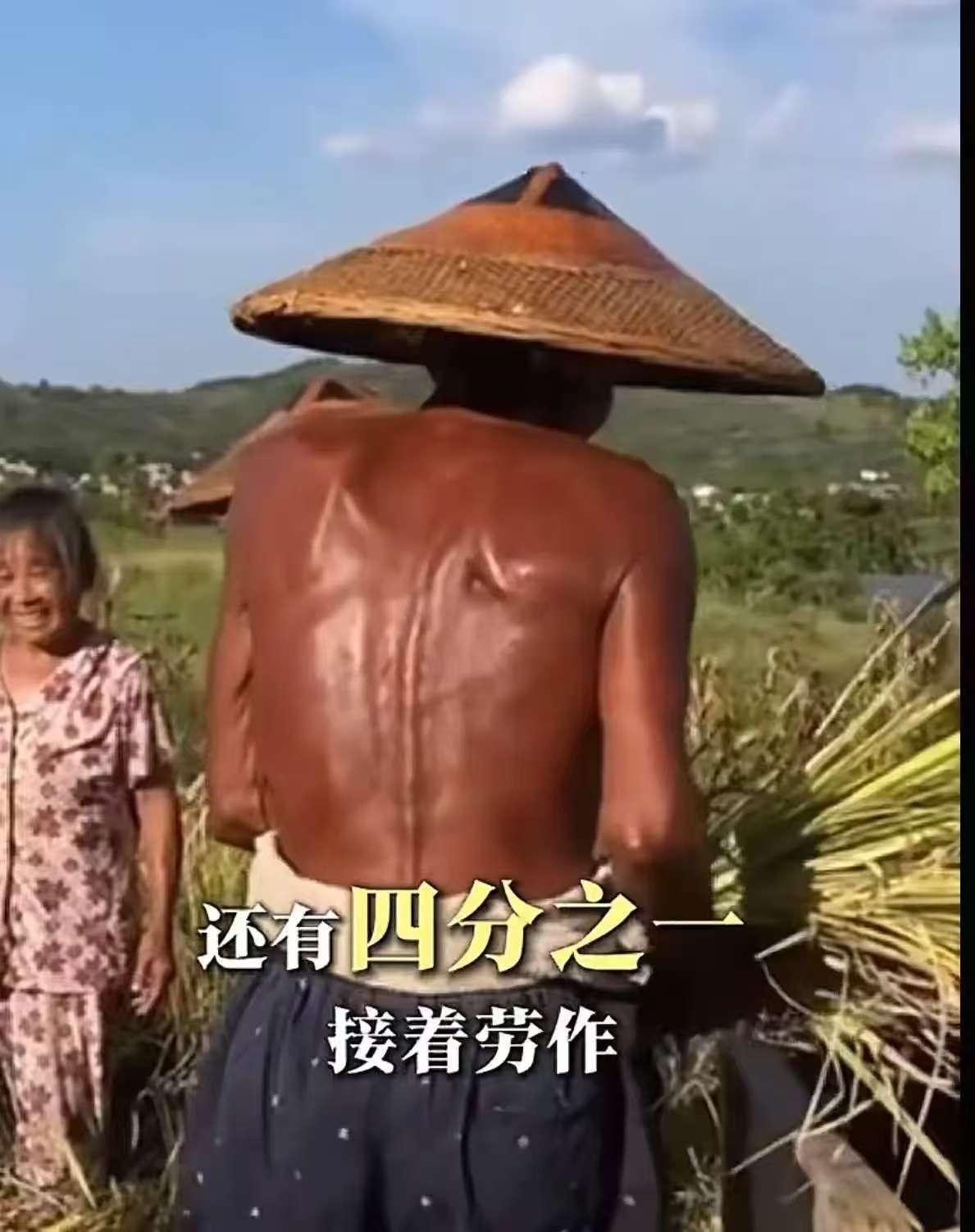 有人反驳“给1.3亿农村老人涨养老金”的提议，称“他们没交社保，拿200元已是关