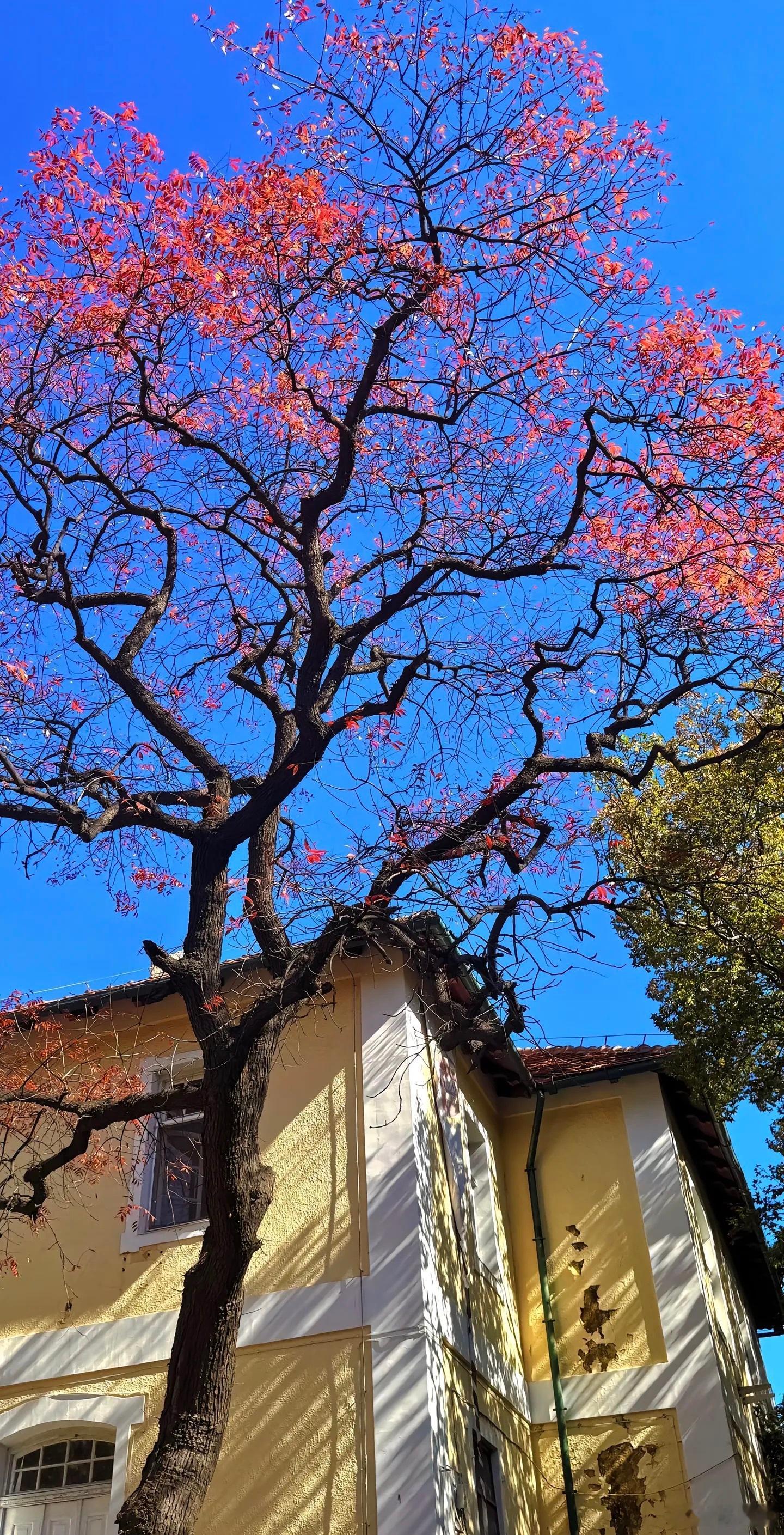 我的恋爱观好像出了问题我觉得恋爱都会分手结了婚都会离婚没离婚都是因为小孩