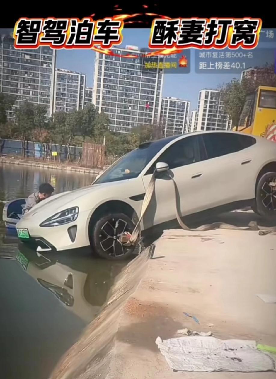 钓鱼直播间惊现诡异的一幕:小米su7开启自动泊车功能，直接把车开进池塘里面去了…