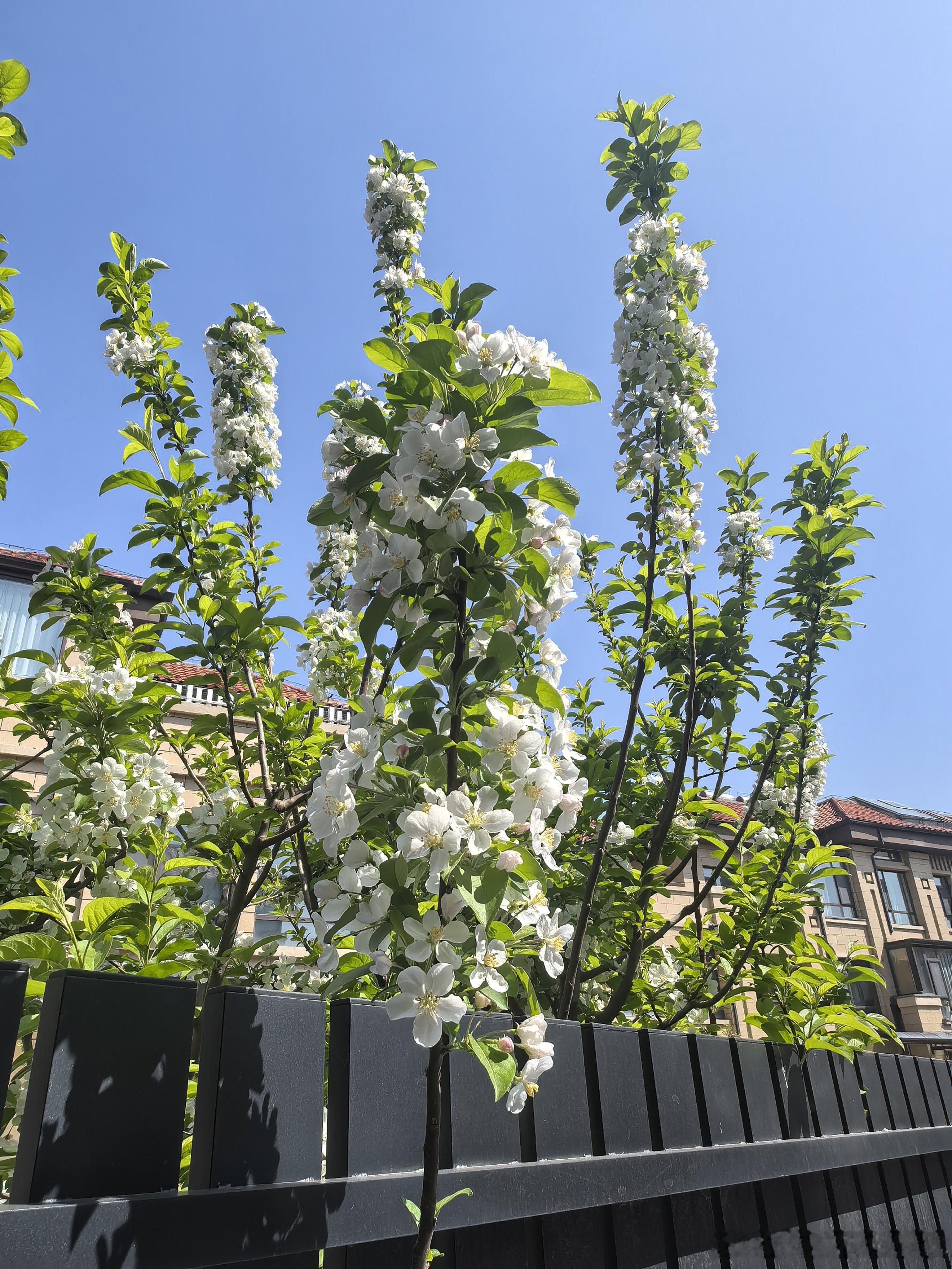 毕竟是春天了，毕竟每个春天都不一样吧东营