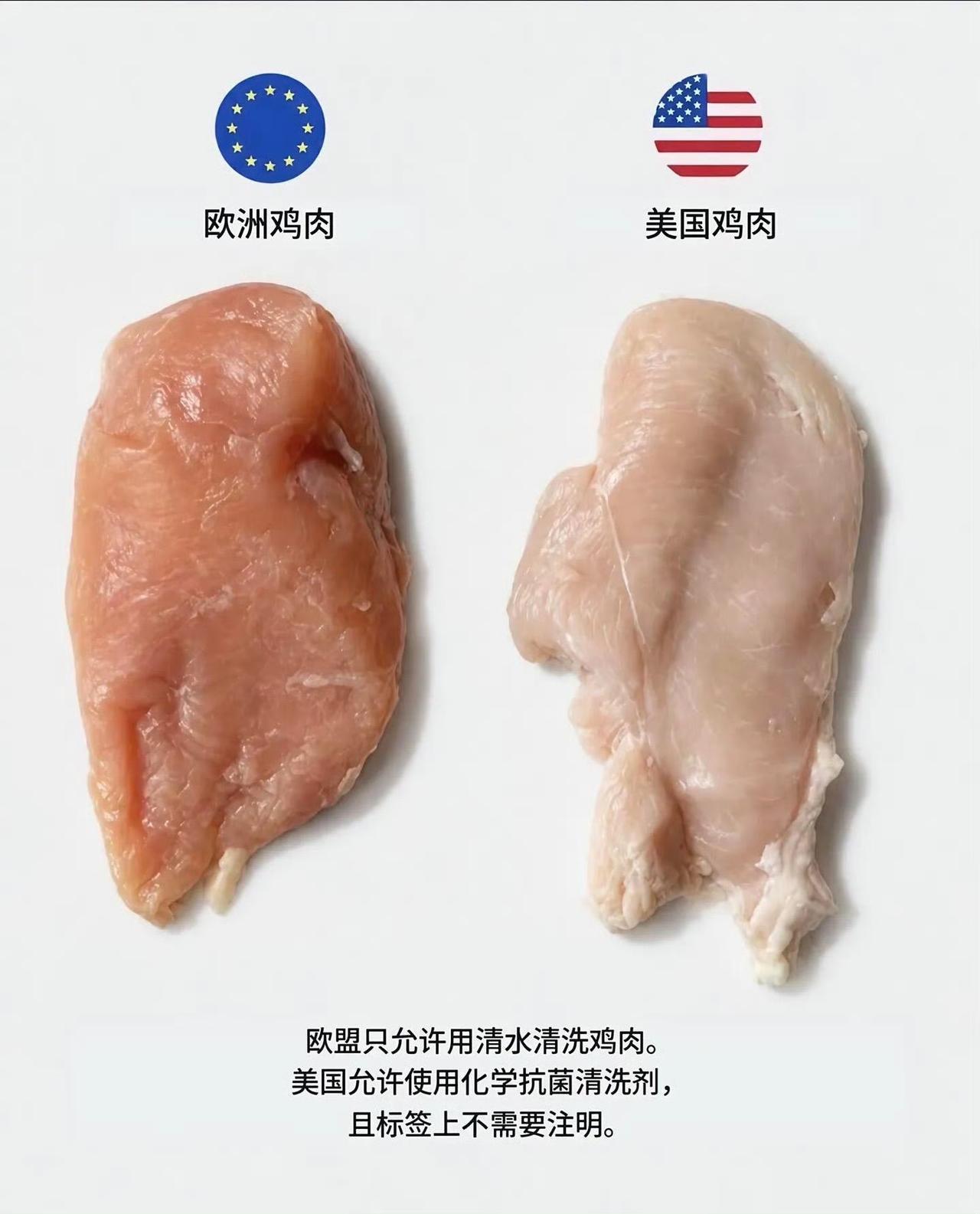 同一种食材，欧美标准差别这么大！看完涨知识很多人不知道，同样是鸡肉、鸡蛋、
