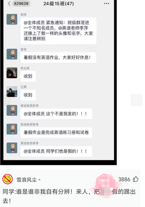 把假的踢出去