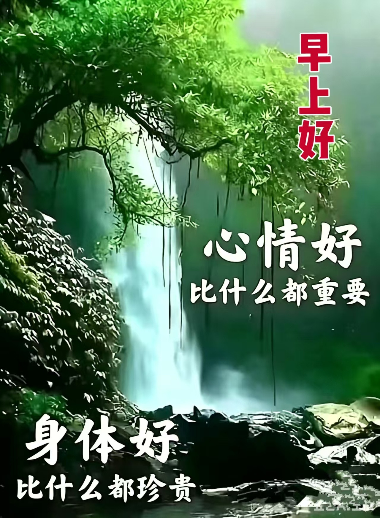 分享图片​​​