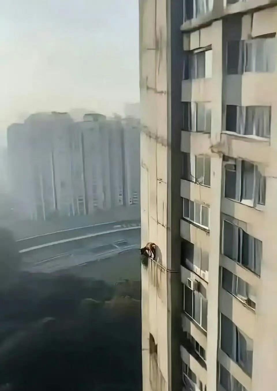 告诉物业我们墙上有只羊.....​​​