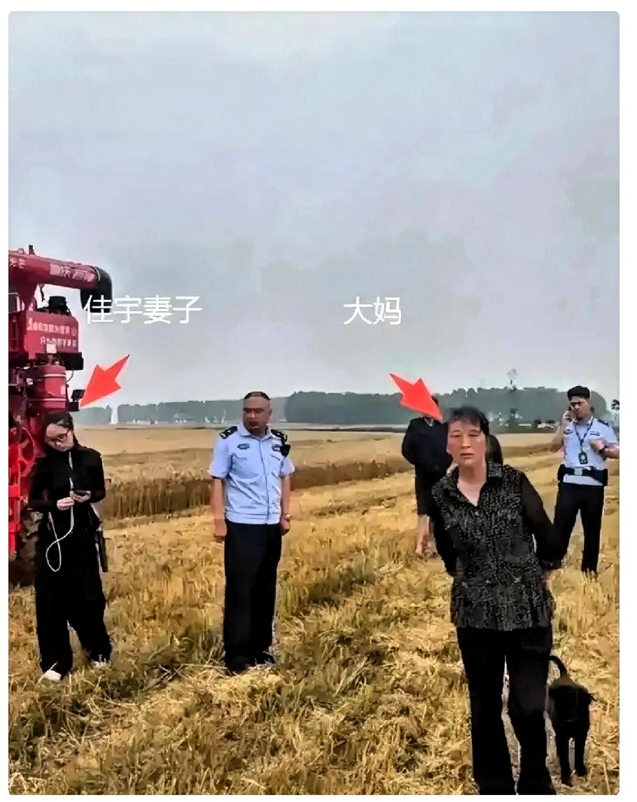竟然有这种荒唐事！近日湖北襄阳遇到连日暴雨灾害，小麦倒伏，受损严重，农民的收成