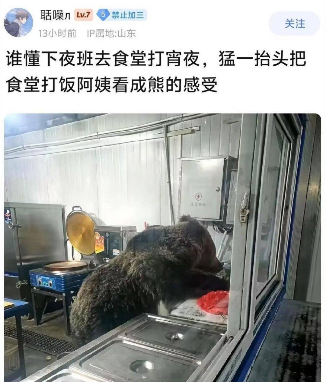 这不是熊是什么？从哪里看会是食堂阿姨？