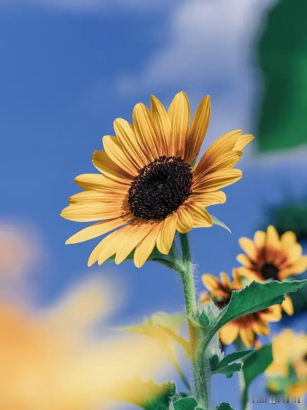 最让人觉悟的一句话：社会生存铁律，看到最后才懂终极真相在社会上混，有一条铁律