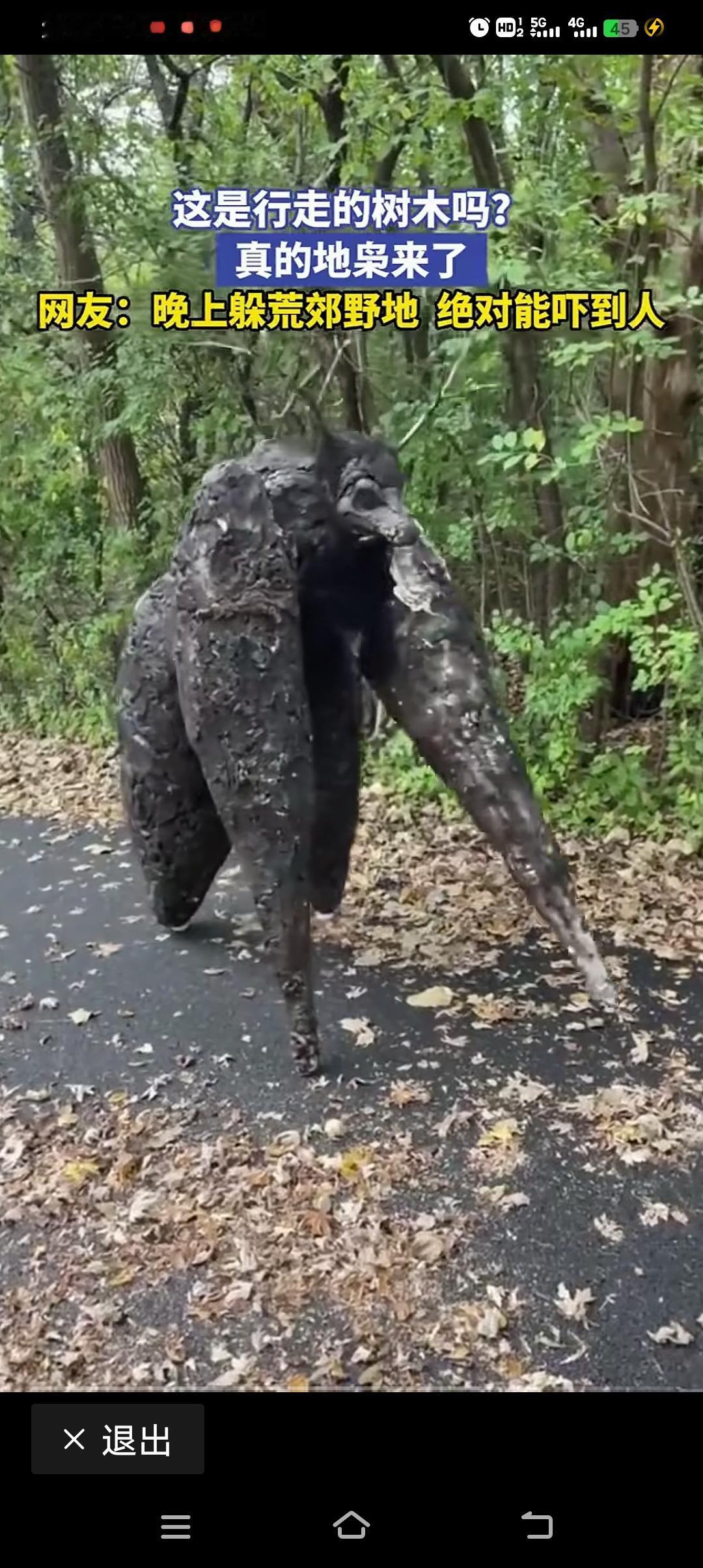 地枭，是什么动物？我们大家绝大多数是没有见过，也不认识它。地枭枭族地枭伥鬼