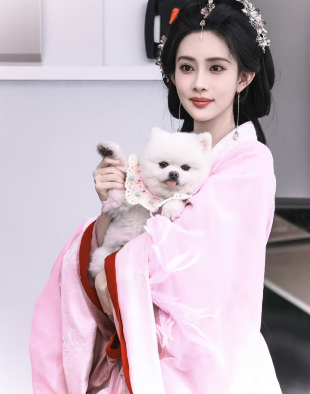 孟子义的狗巧克力又塌房了狗的名字叫巧克力？​​​