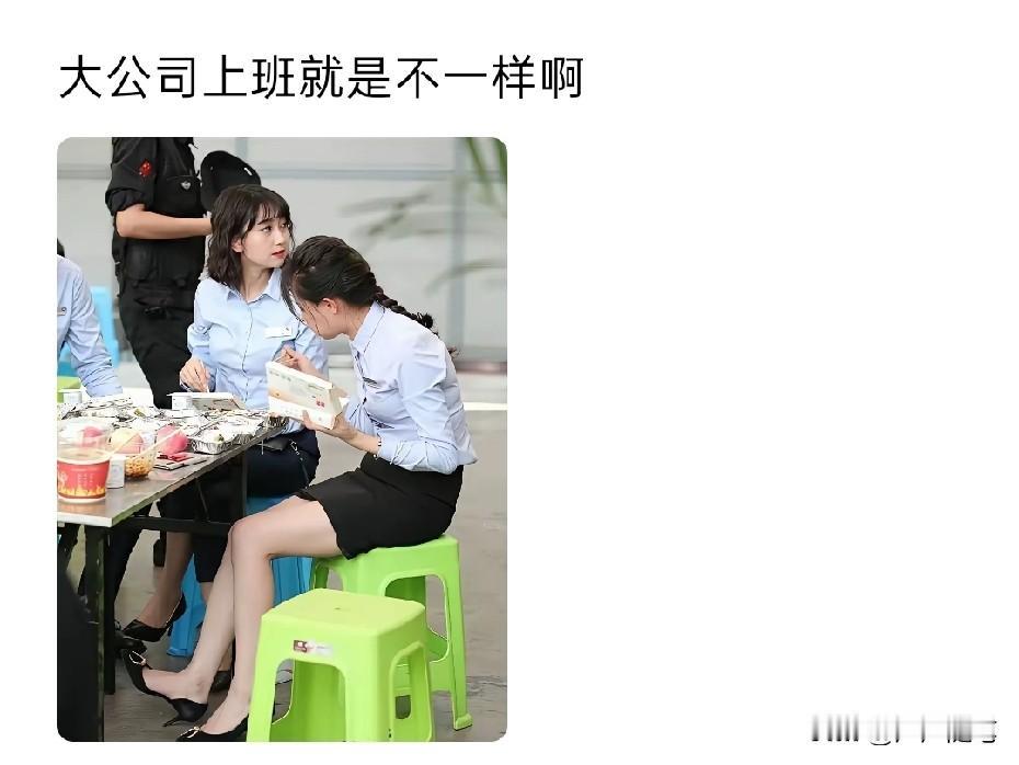 没看出有什么特别之处。