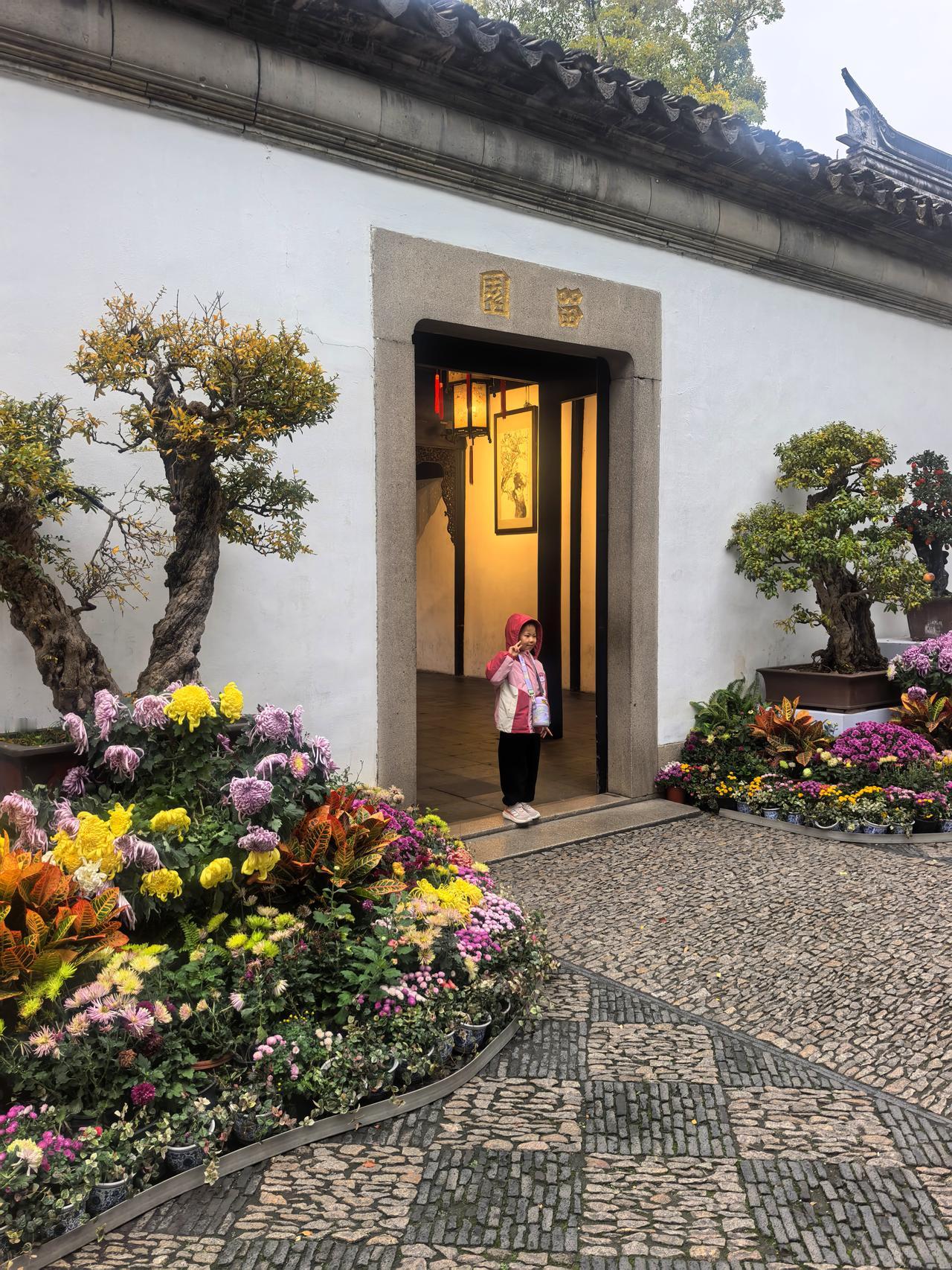 留园秋韵，叠石疏林藏清欢。辞别山塘街的晨雾枕水，循着江南秋光的脉络，第二站我踏