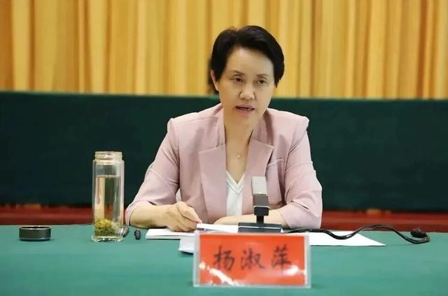 河南通报: 杨淑萍被查